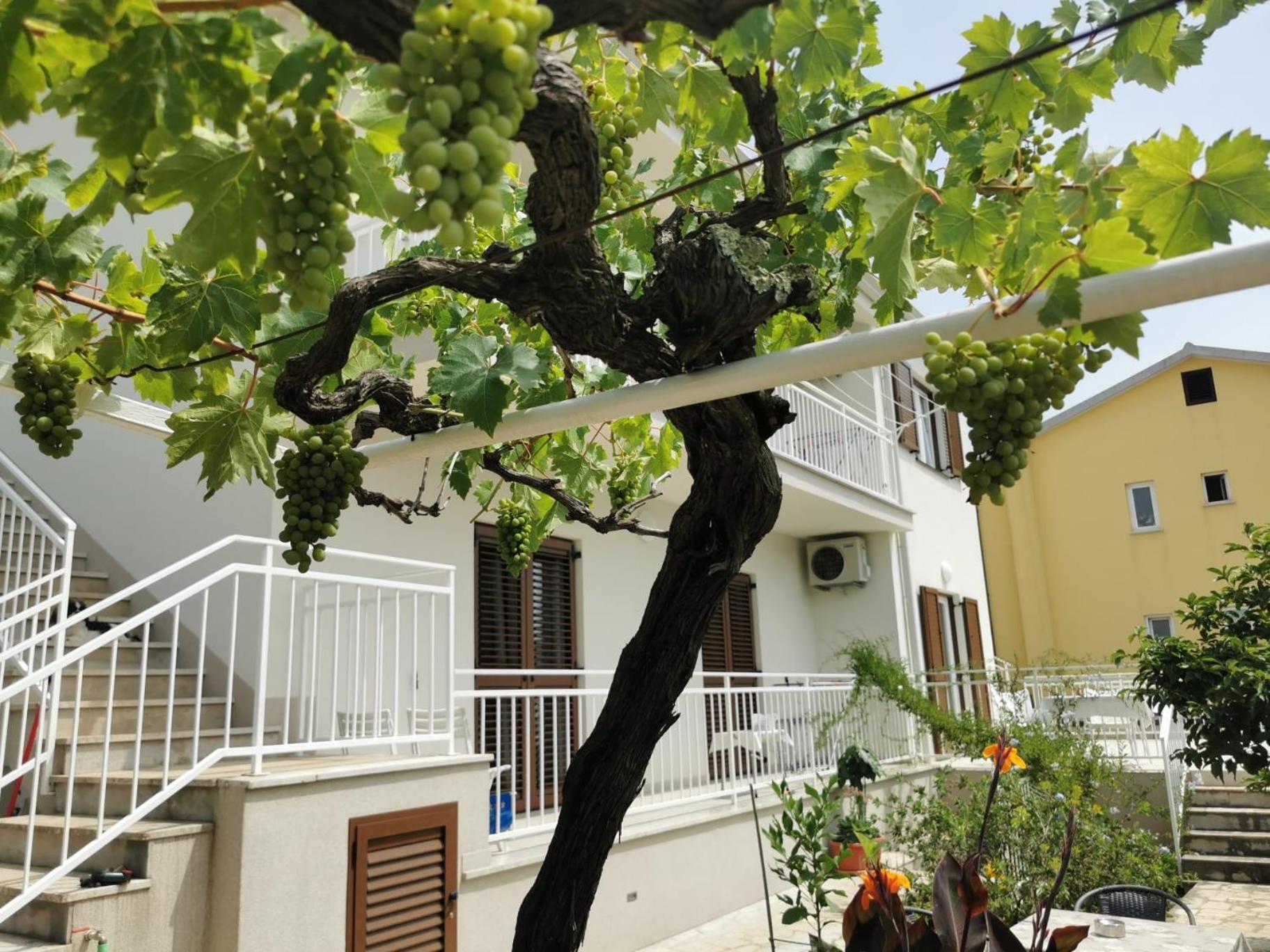 Residence Pical بوريتش المظهر الخارجي الصورة